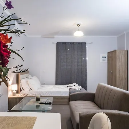 Libro D'Oro Studio Holiday home Lithakia (Zakynthos)